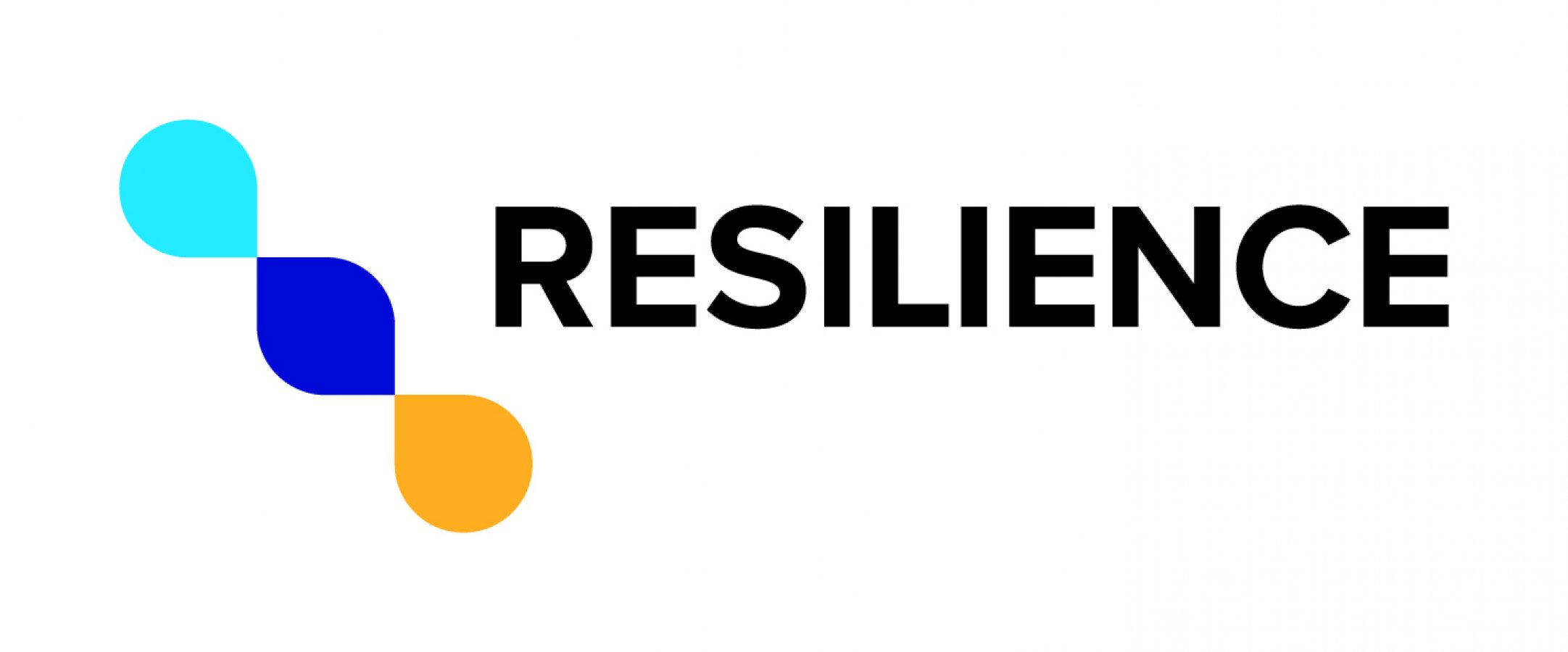 Image Call for Applications for RESILIENCE TNA Fellowships 2024-2025