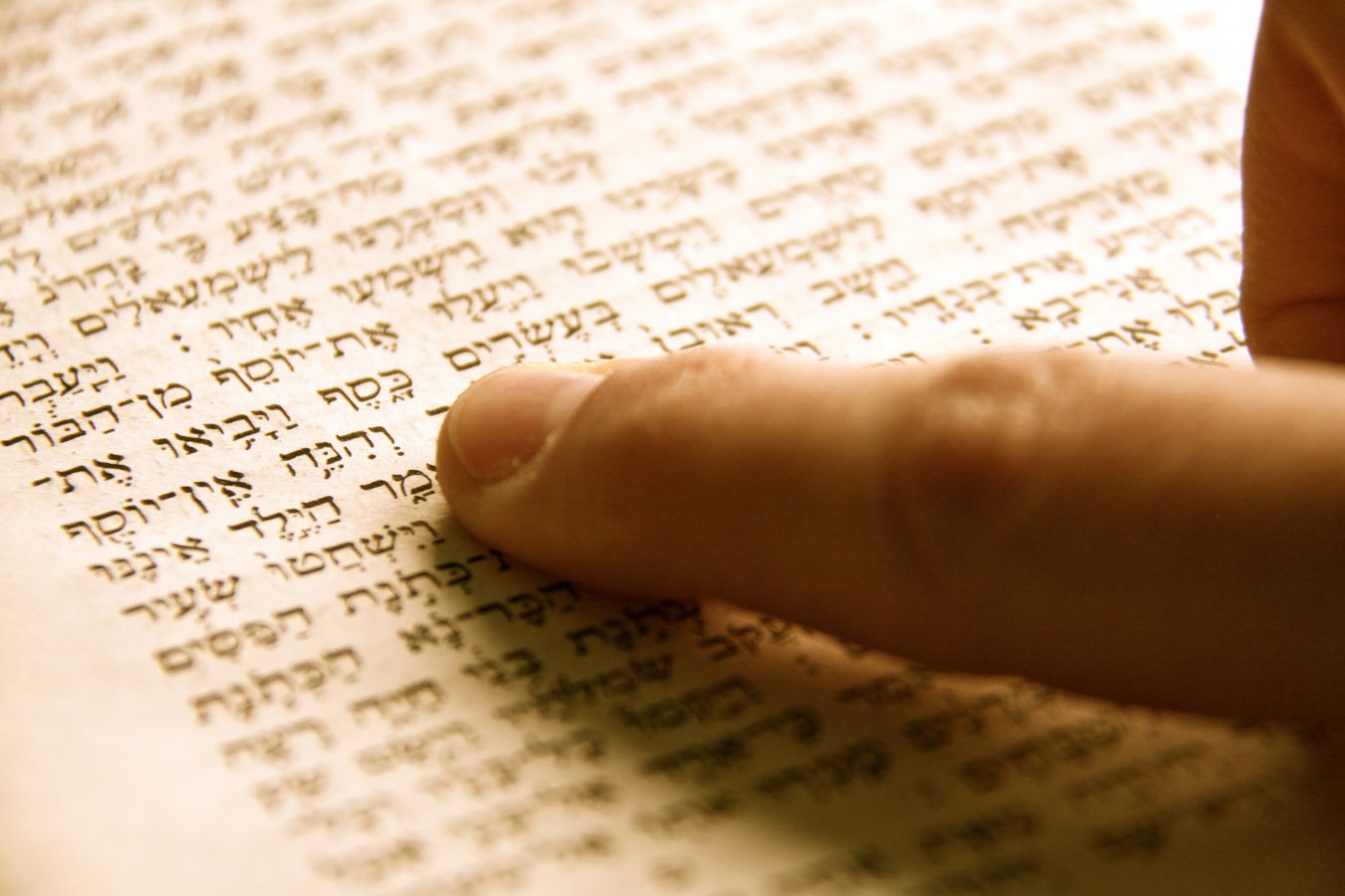 Image Vacature docent Bijbels Hebreeuws